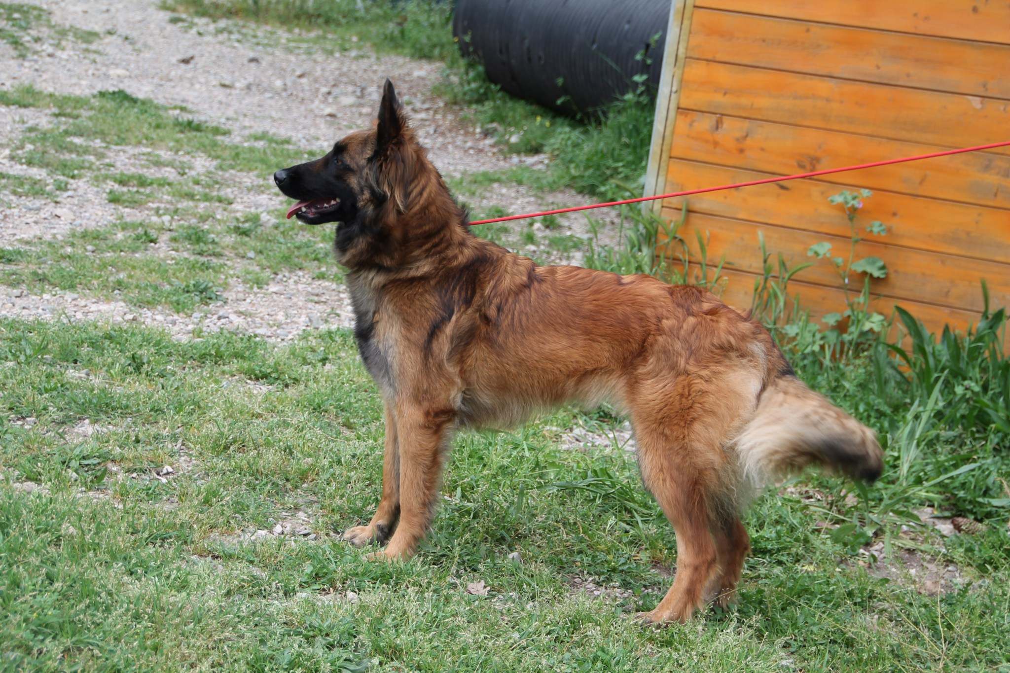 Lipsy Du Musher